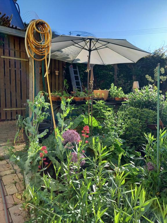 an umbrella in a garden with flowers and plants at Freilandhof in Ötisheim