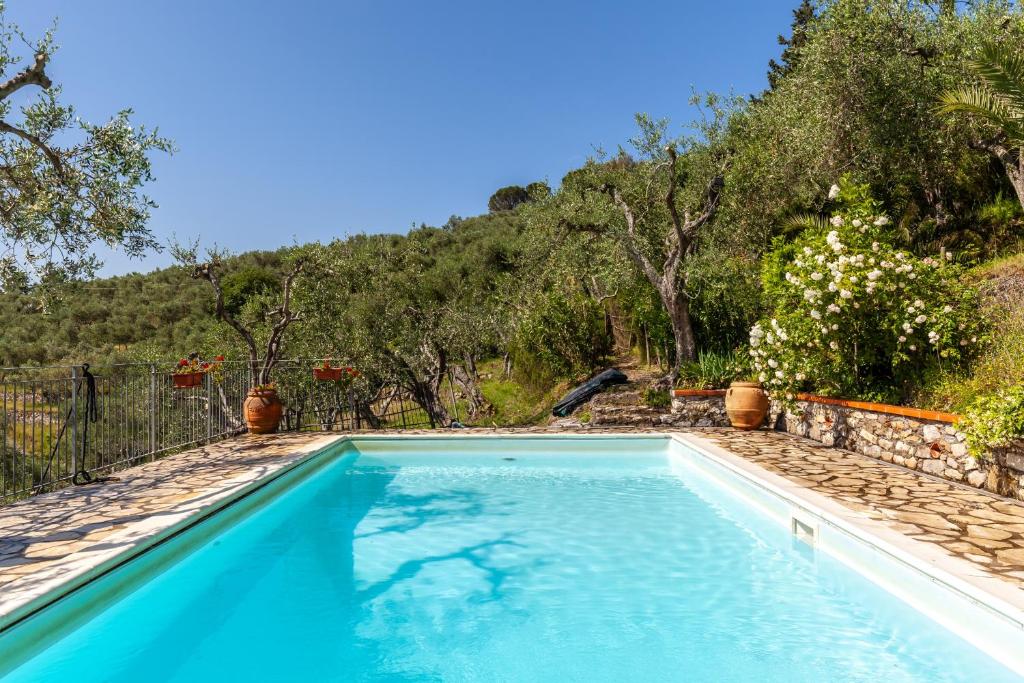 a blue swimming pool with a hill in the background at Podere Par di Rota in Calci