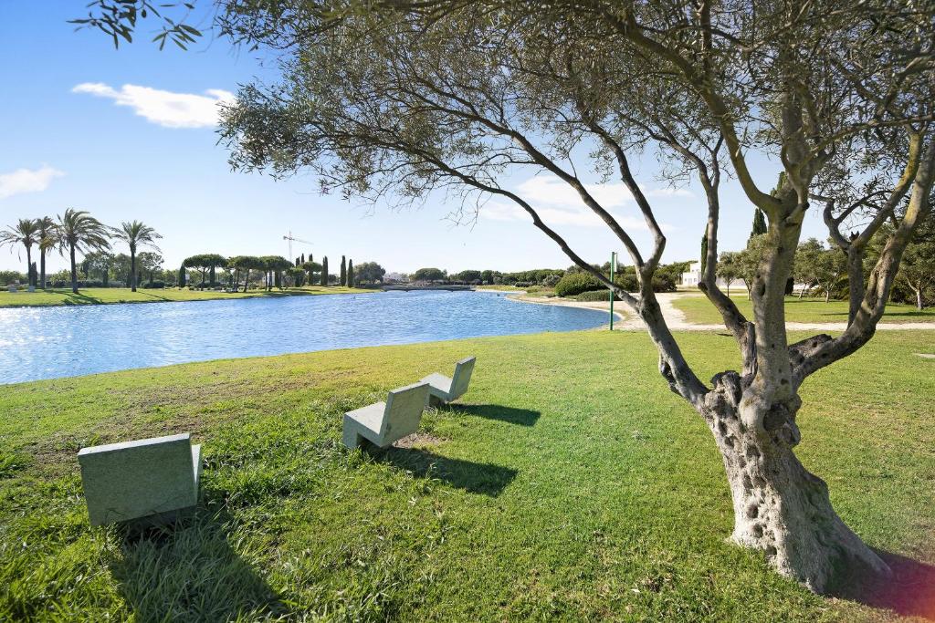 two benches sitting next to a tree next to a river at Casa Costa Ballena Dahlia in Costa Ballena