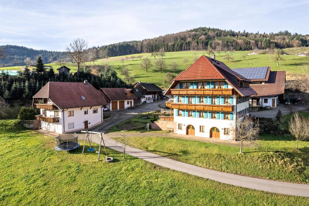an aerial view of a house in a village at Wanglerhof Familie Wangler in Schuttertal
