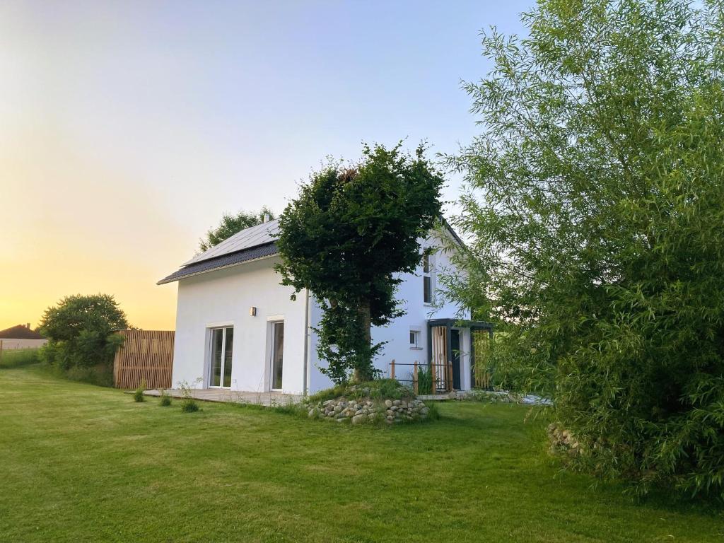 a white house with a tree on top of it at Ferienhaus Riedlodge Bodensee-Obers in Guggenhausen