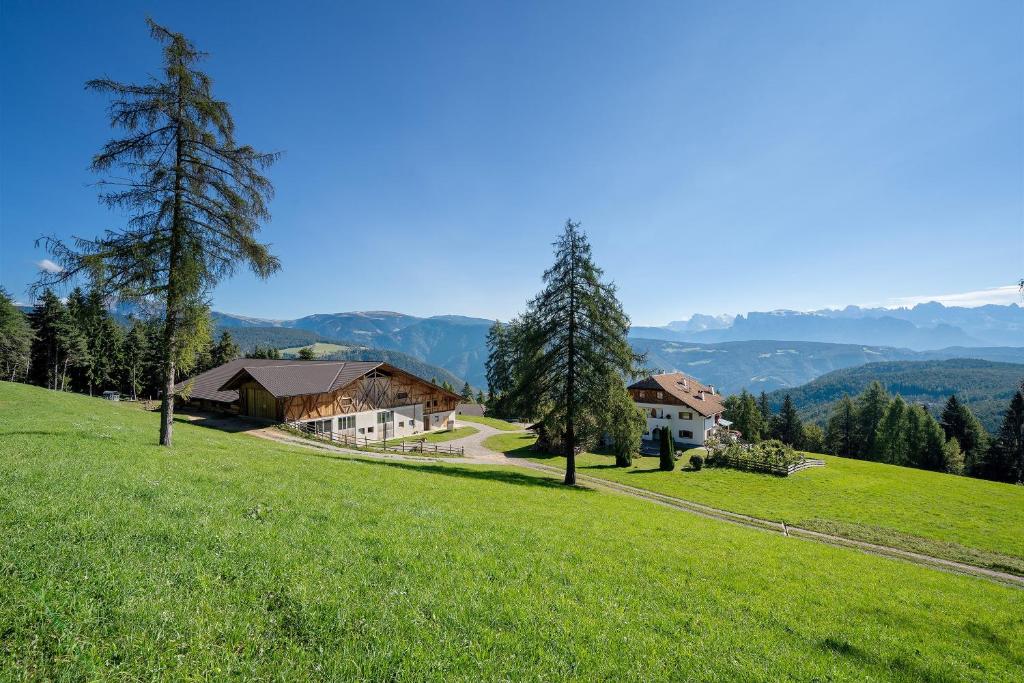a house on a hill with green grass and trees at Stücklhof Wohnung Edelweiss in San Genesio Atesino