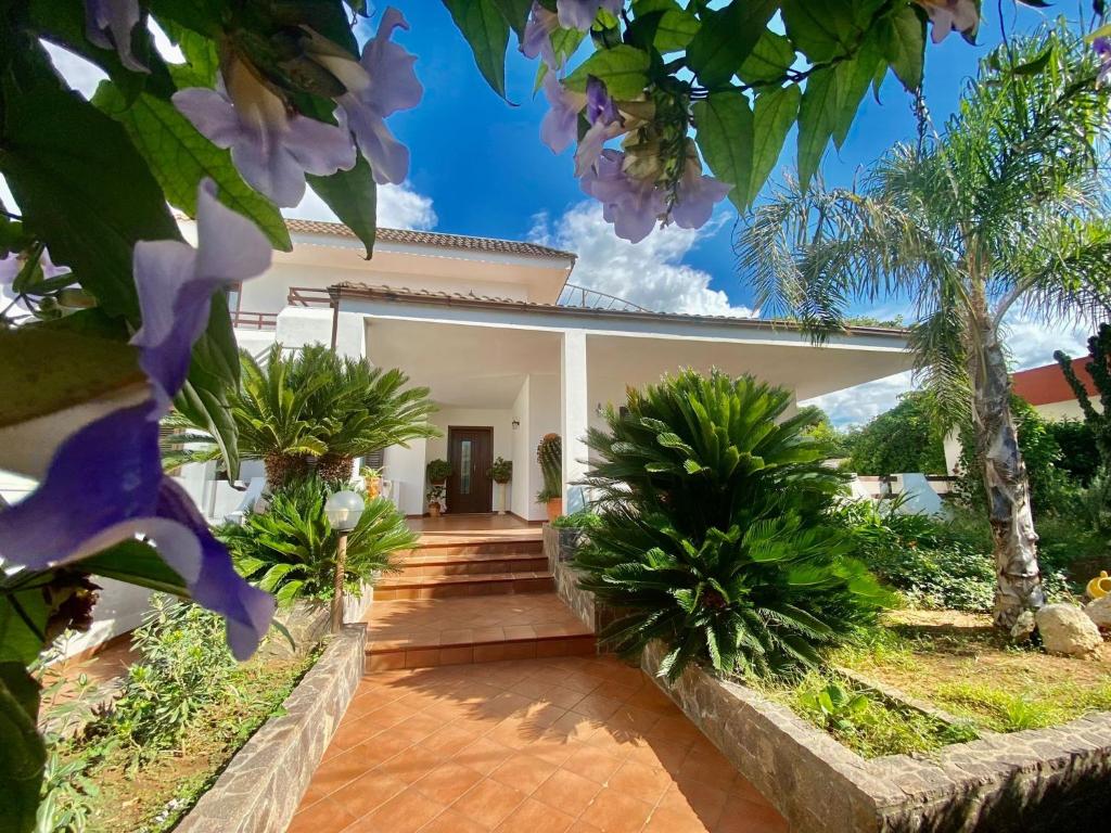 The Rosa's Luxury House