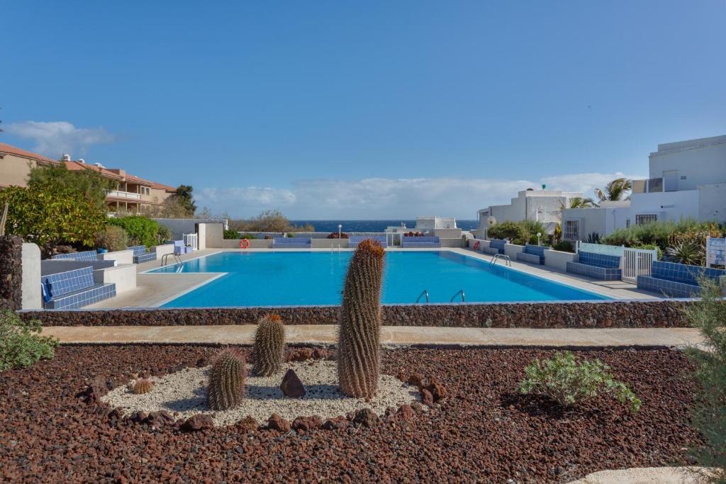 a large swimming pool with cacti in a yard at Casa Lotti With Ocean View in Santa Cruz de Tenerife