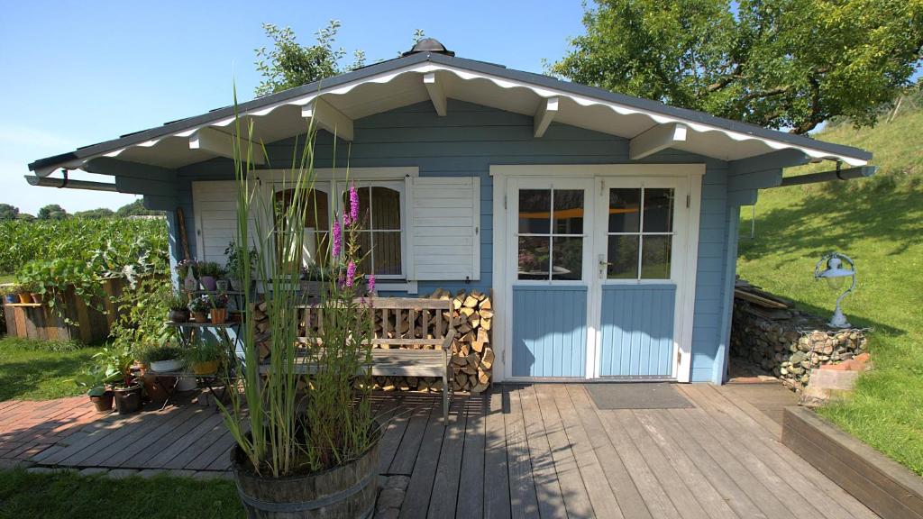 a blue shed with a bench on a deck at Die blaue Hütte - Tiny House am Elberadweg in Seestermühe