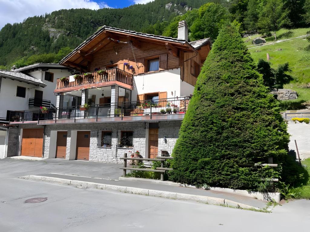 a building with a tree in front of it at Maison Olga - La Roisette in Valtournenche