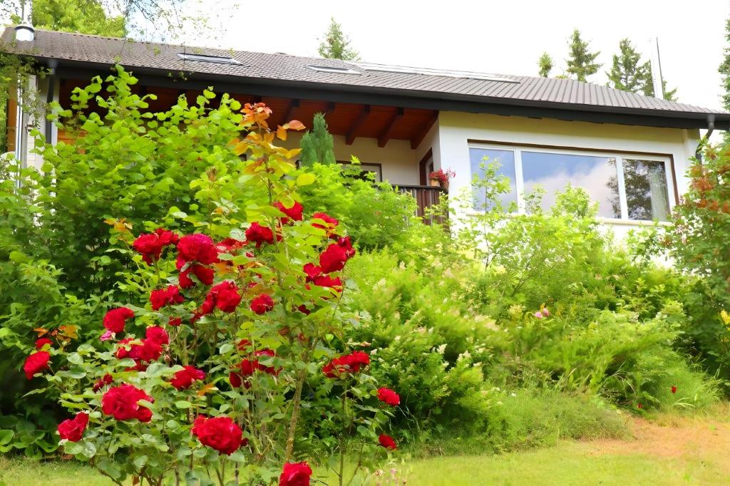 a house with red flowers in front of it at Ferienwohnung Jachmann, 80qm in Schönwald