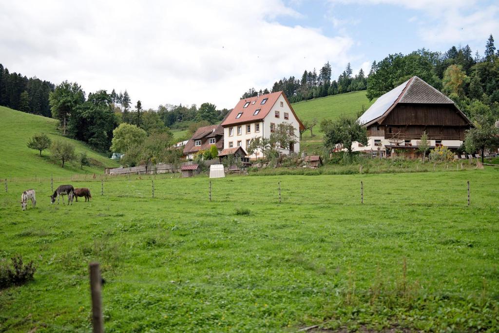 a farm with horses grazing in a green field at Ruhbauernhof in Kirchzarten