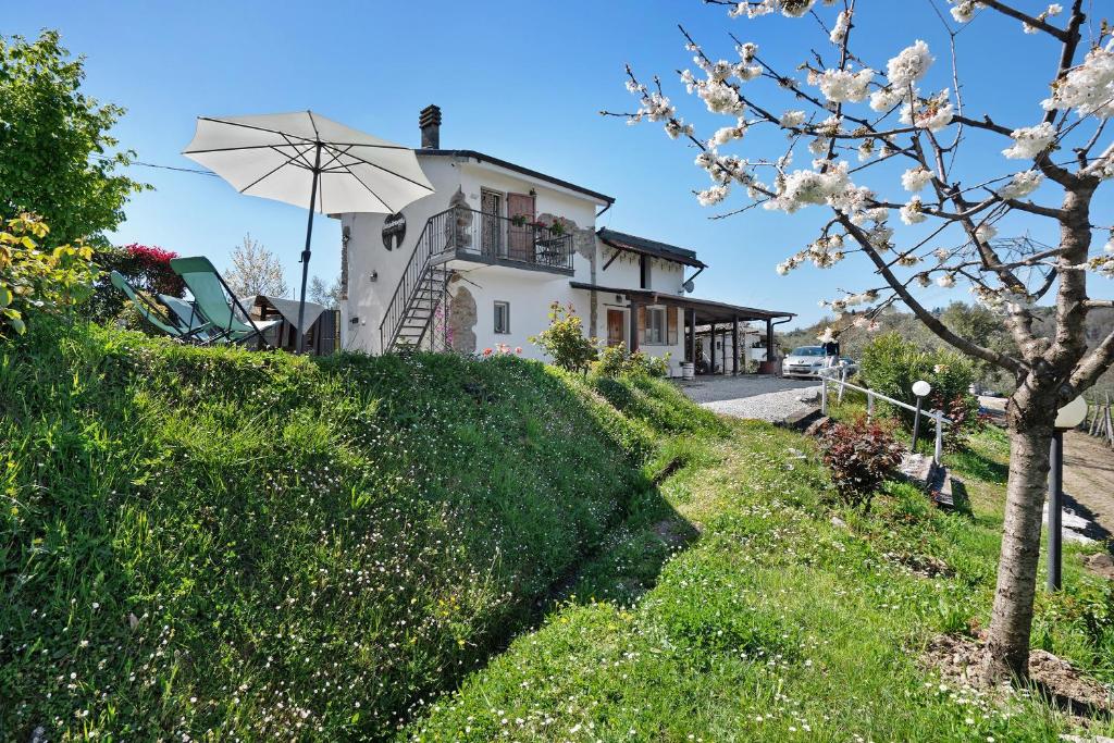 a house on a hill with a blossoming tree at Rosadimaggio Violetta in Arcola