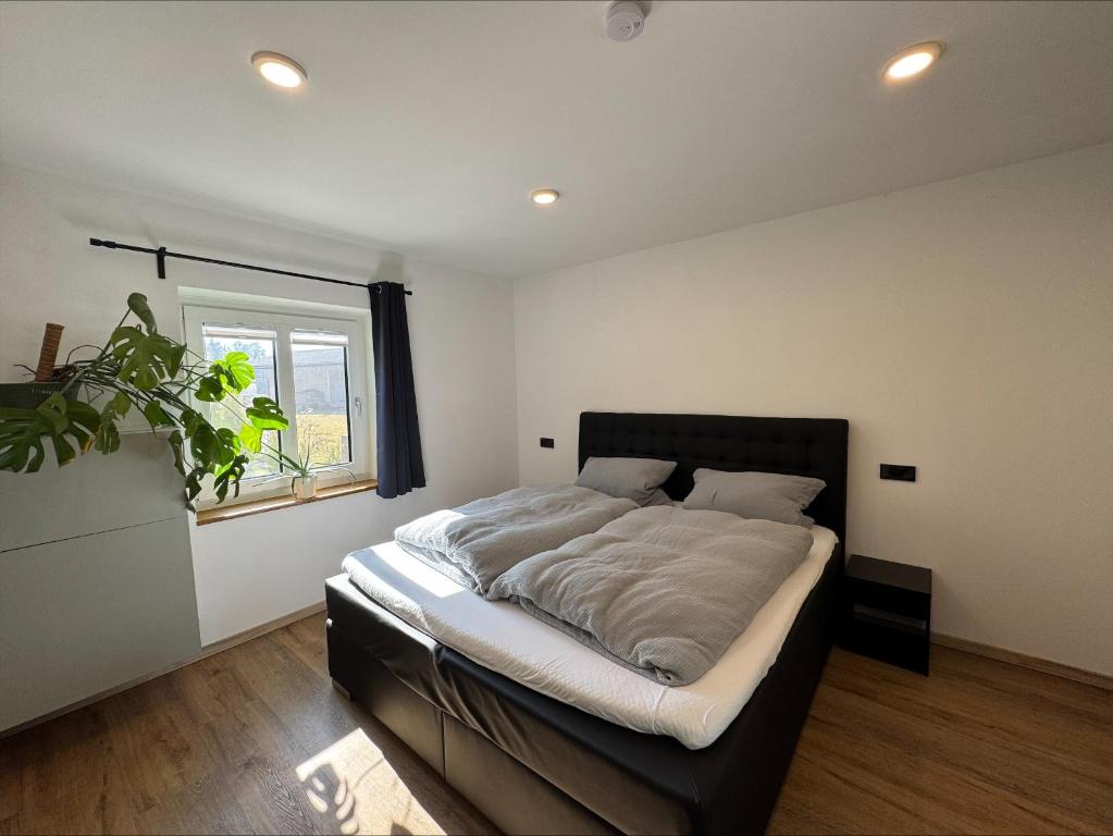 a bedroom with a large bed with a window at Ferienwohnung Am Biohof in Mengkofen