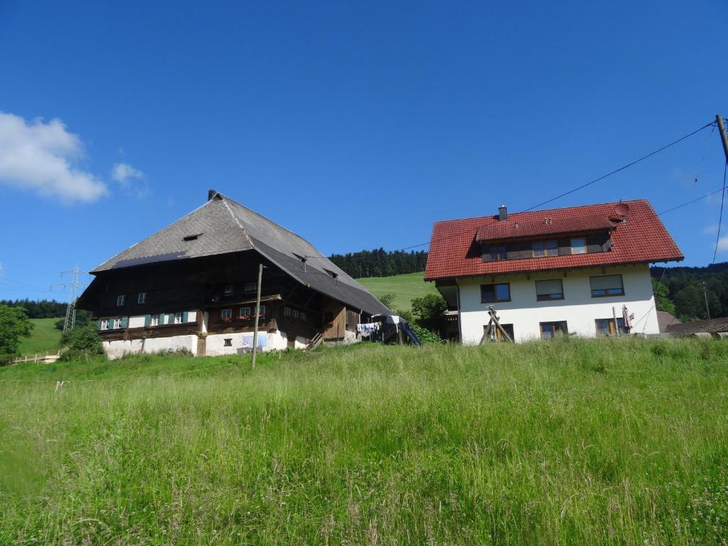 an old house with a thatched roof in a field at Hinterbauernhof Fewo Kuhgeflüster in Stegen