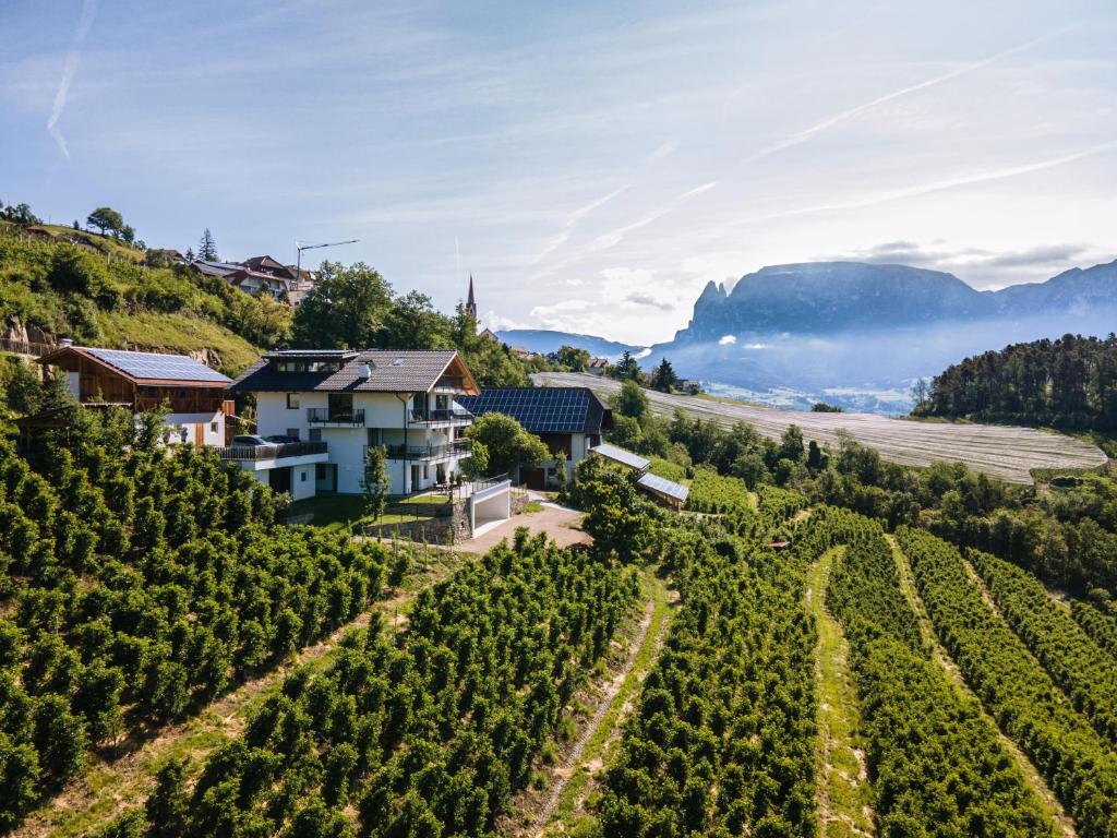 an aerial view of a vineyard and a house in a vineyard at Thalerhof Sancta Sebastianus in Auna di Sotto