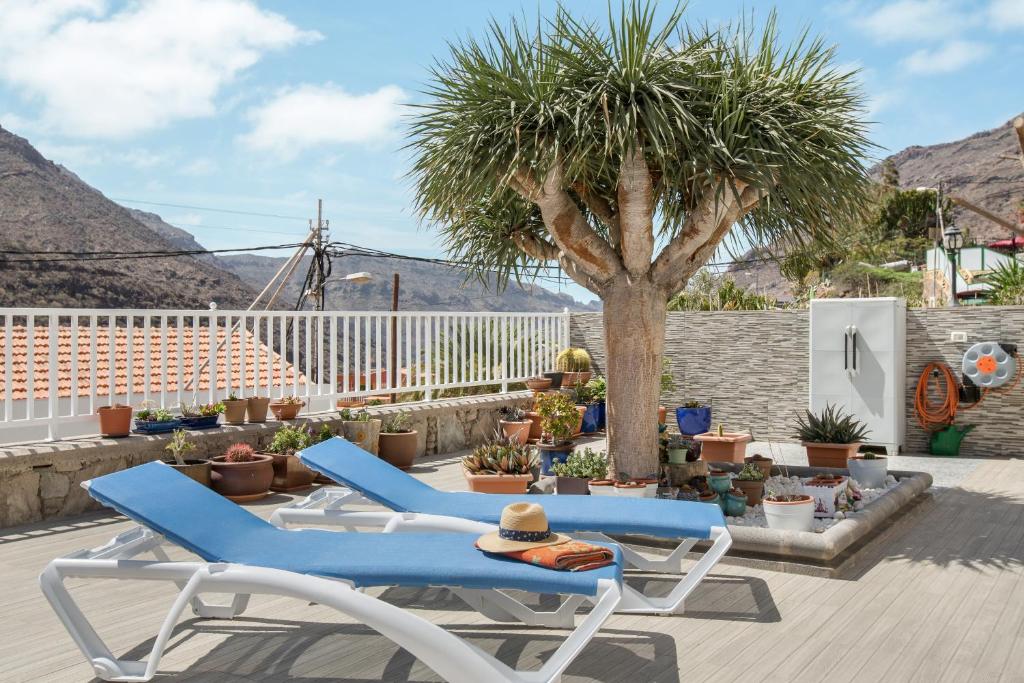 a patio with two lounge chairs and a palm tree at Casa Paco in Mogán