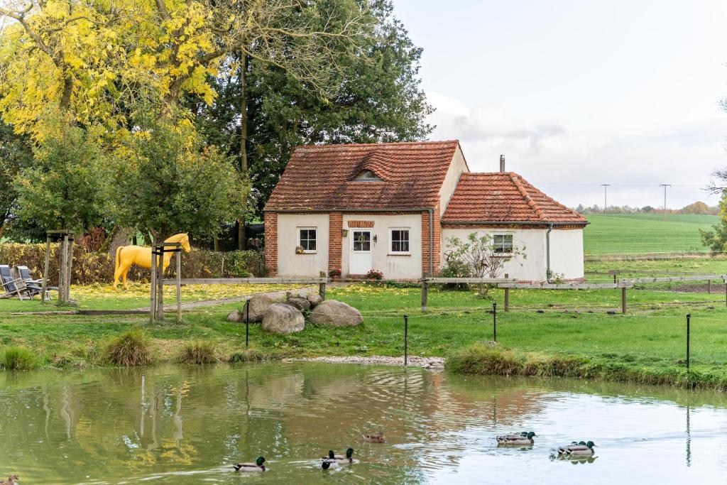 a house with ducks in a pond in front of a house at Backhaus in Groß Wokern