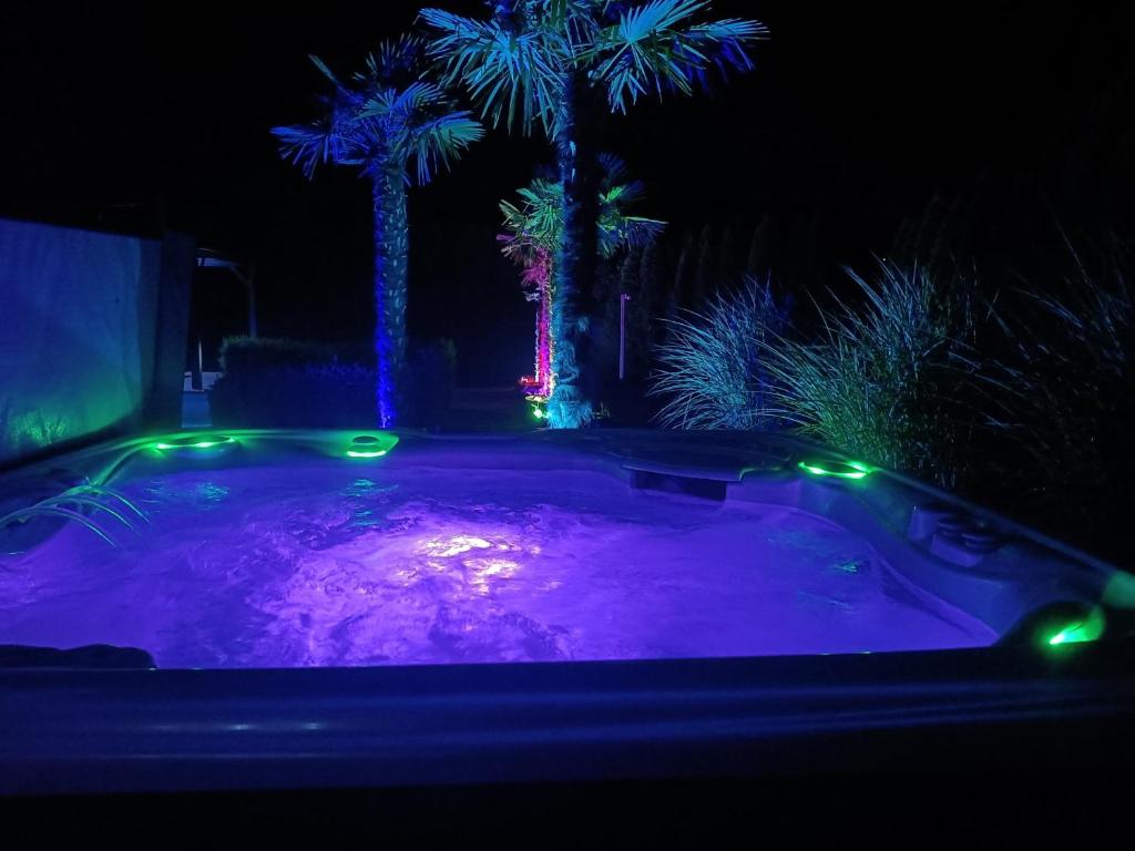 a night view of a pool with palm trees and lights at Wohlfühloase Ermreuth in Neunkirchen am Brand