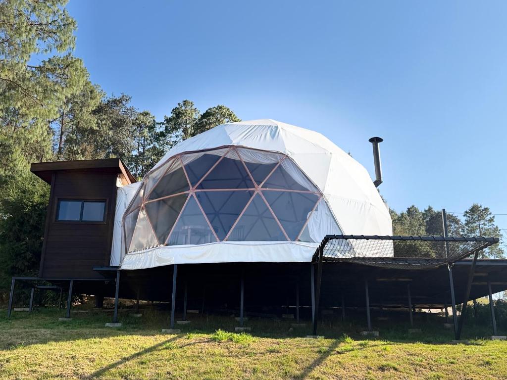 a dome tent on display in a field at Glamping Las Nubes in Chignahuapan