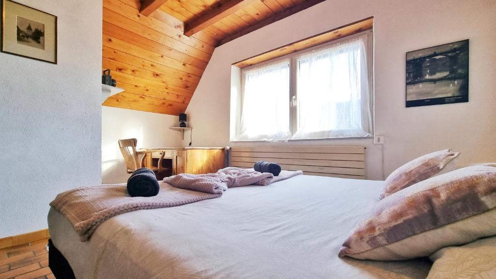 Albert Ranch House - Grande maison au calme - Parking – photo 11