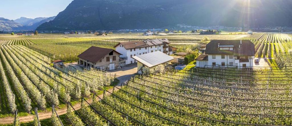 an aerial view of a vineyard with houses and a farm at Auelehof Laives in Laives