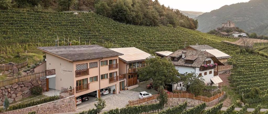 an aerial view of a house in a vineyard at Pfösslerhof in Bolzano