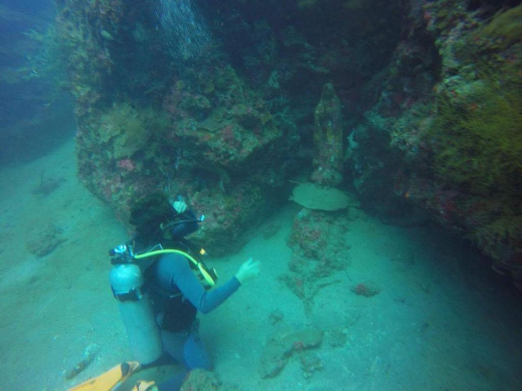 a person in the water next to a reef at Anilao Scuba Dive Center (ASDC) in Batangas City