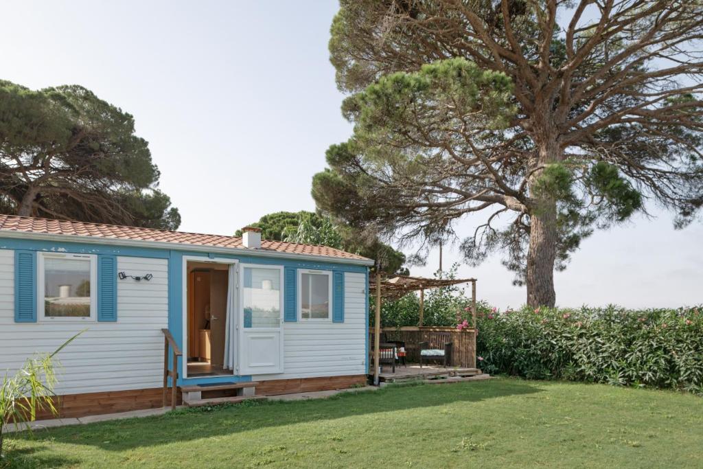 a blue tiny house in a yard with a tree at Calma in Barbate
