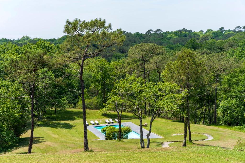 an overhead view of a swimming pool in a park with trees at Espace, Luxe, Calme Et Nature in Saint-Martin-de-Seignanx