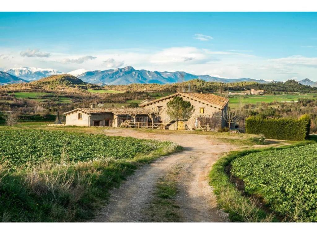 a dirt road in a field with mountains in the background at Cal Torrentí in Caserras