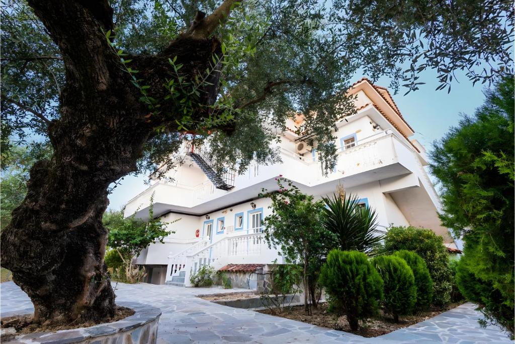a building with a tree in front of it at Tamar Apartments, Laganas in Laganas