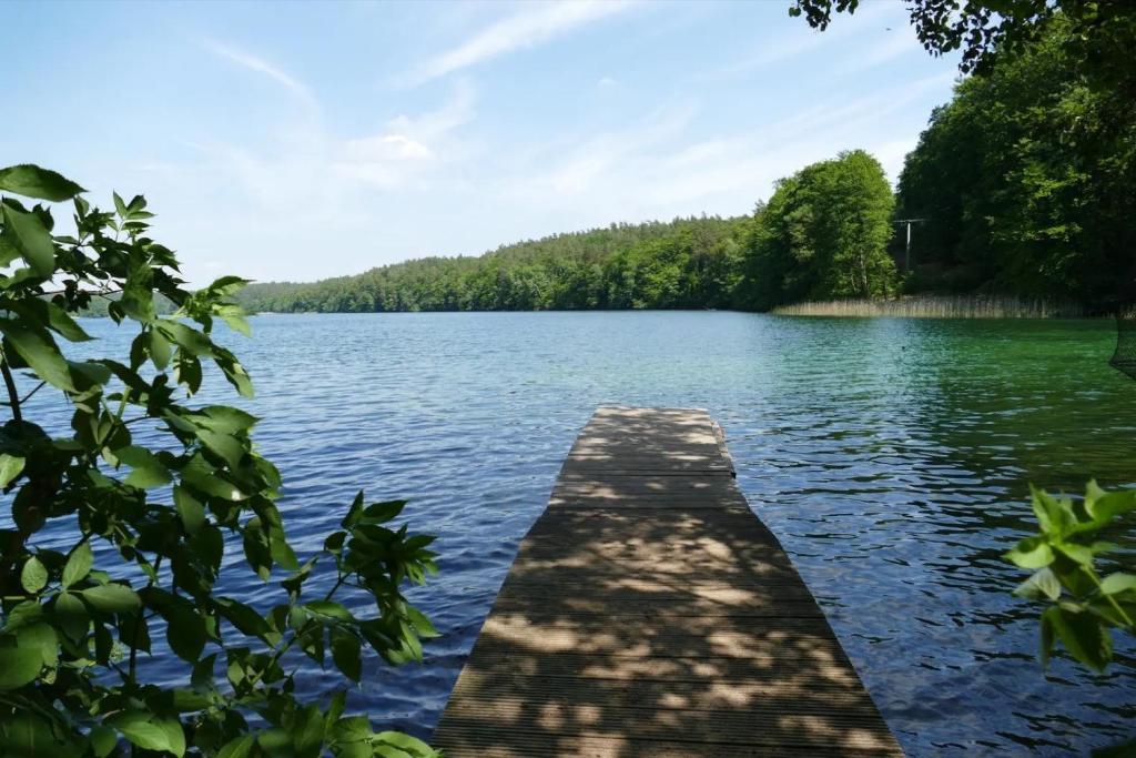 a dock on a lake with trees in the background at Dachstudio Seeblick in Krüselin