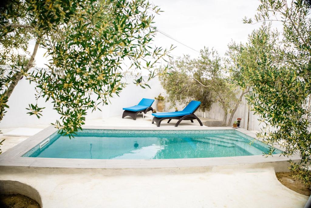 a swimming pool with two blue chairs and trees at Menzel LellaMina in Houmt Souk