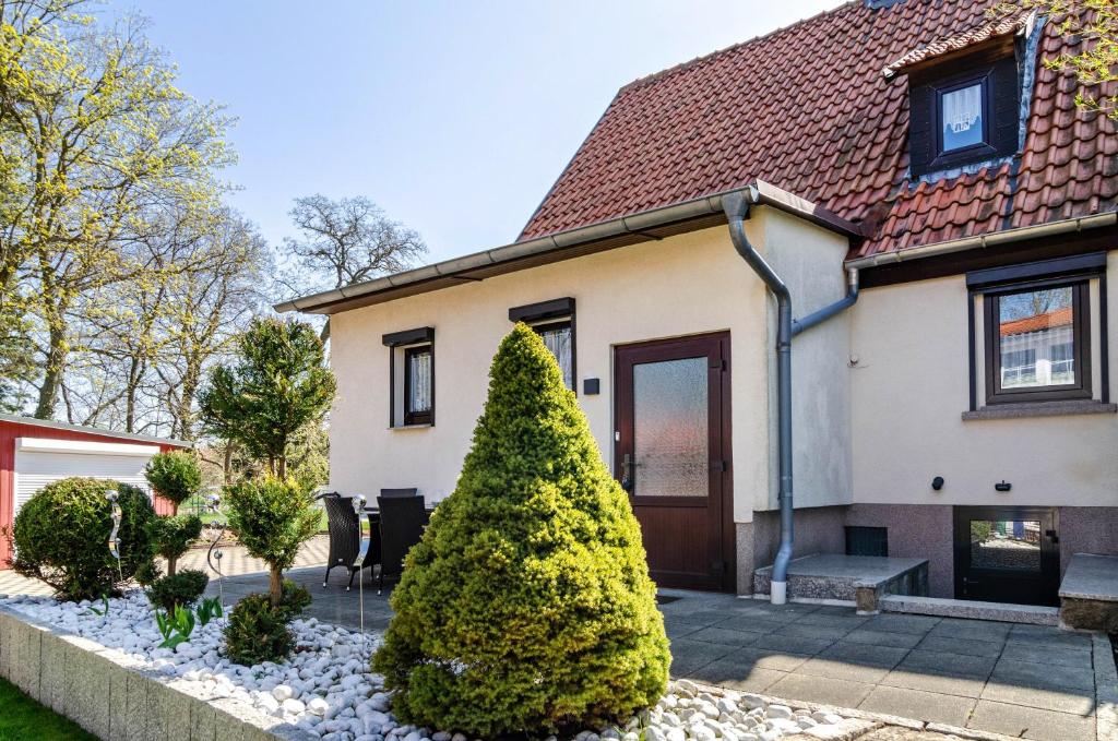 a house with a christmas tree in front of it at Ferienhaus am Park in Heudeber
