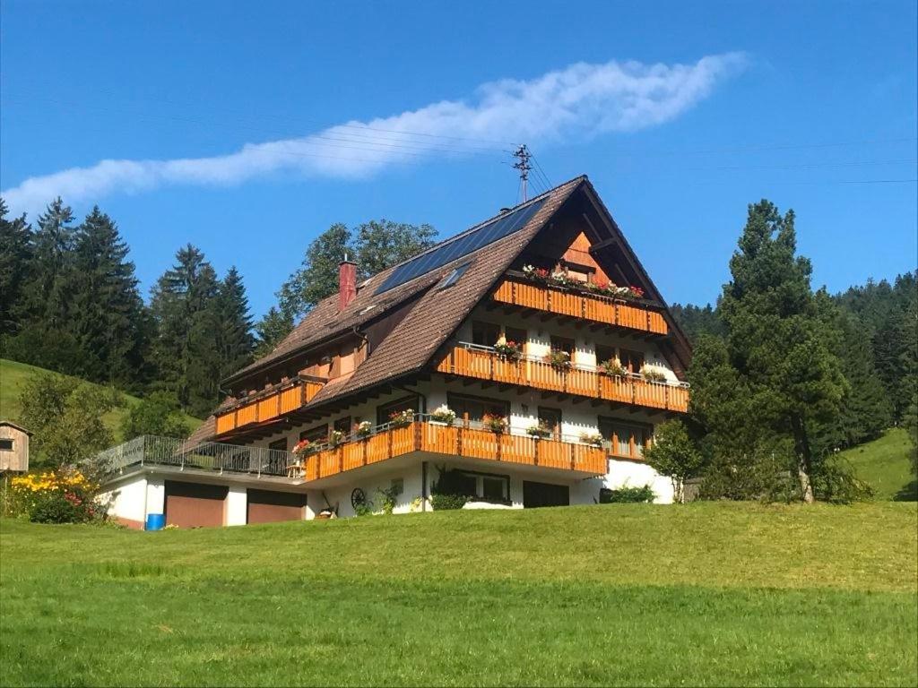 a large building with balconies on a green field at Gästehaus Brigitte Schoch in Bad Rippoldsau-Schapbach