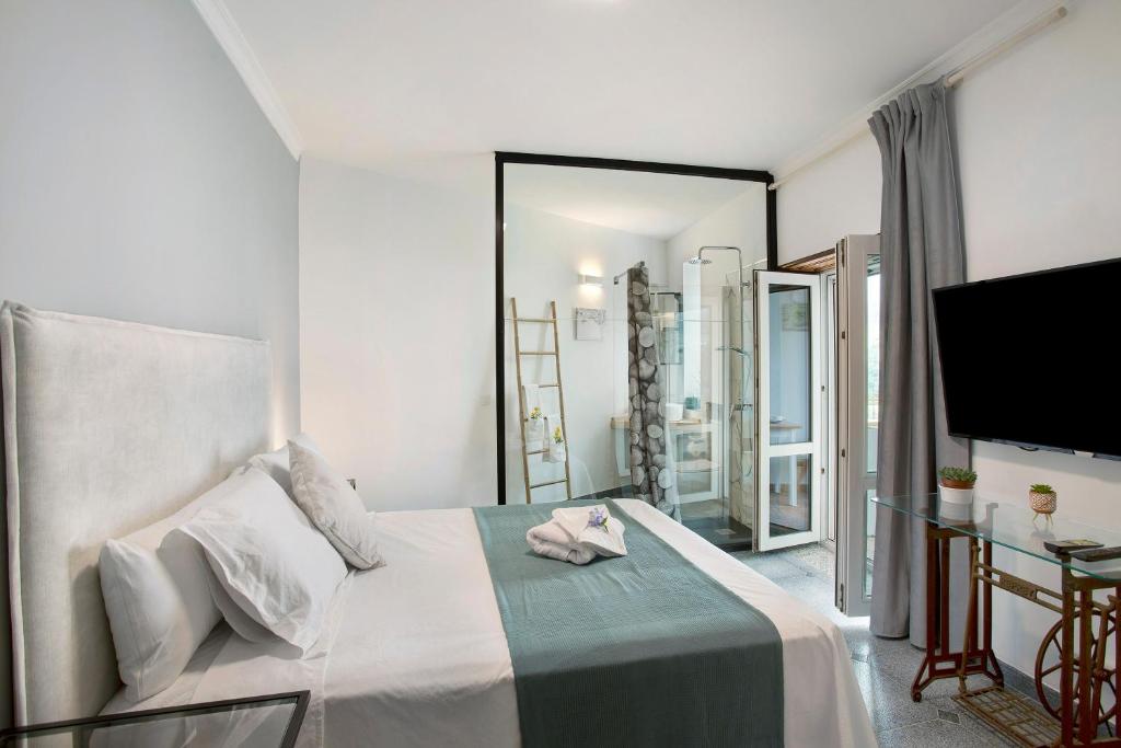 a bedroom with a large bed and a television at Carmelo y Carmela 3 in Teror