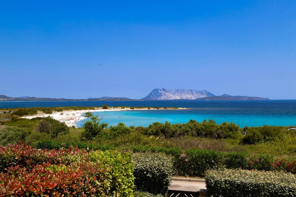 a view of a beach with blue water at Apartment Ida Isuledda 1 in San Teodoro
