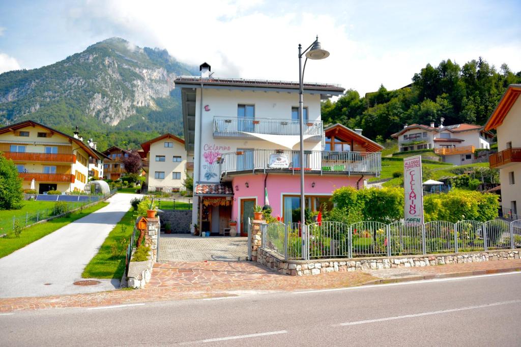 Ciclamino Standard Vittoria - Housity