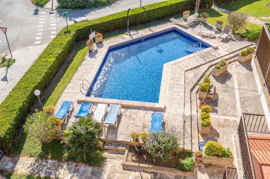 an overhead view of a swimming pool with blue chairs and plants at Holytom Puerto Pollensa in Port de Pollensa