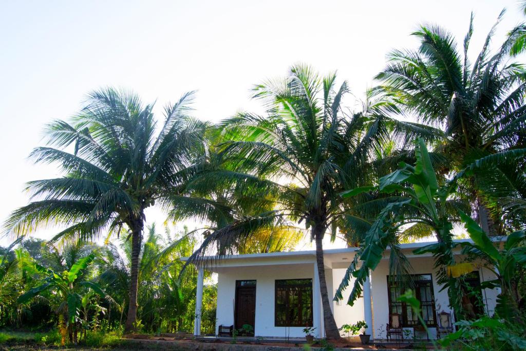 Zahrada ubytování Shady mango villa