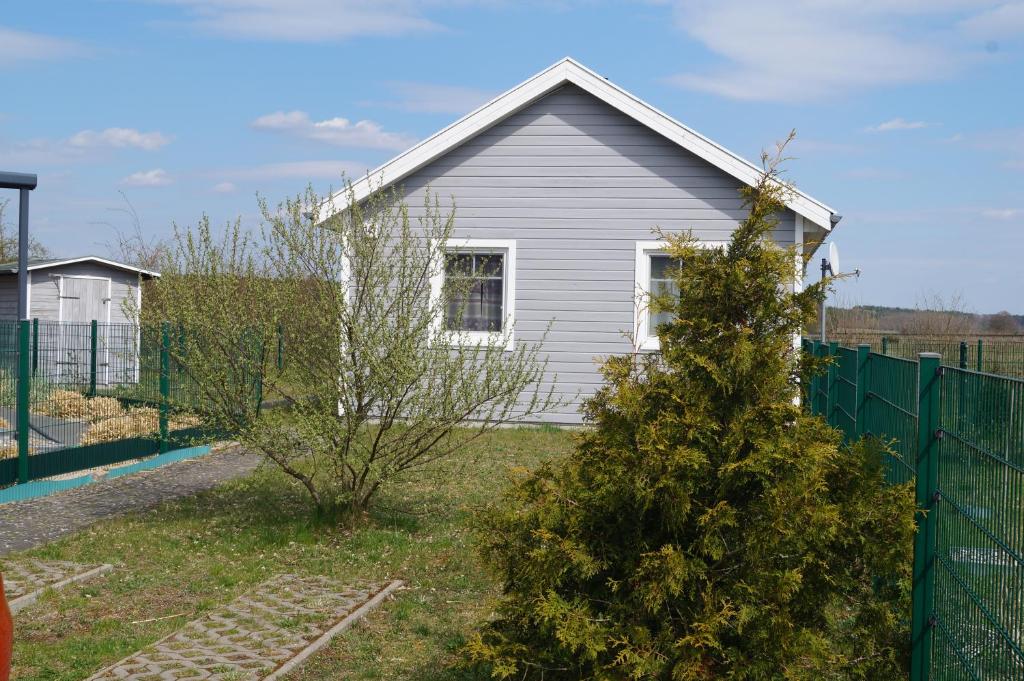 a house with a christmas tree in the yard at Ferienhaus Heideblick in Zerpenschleuse