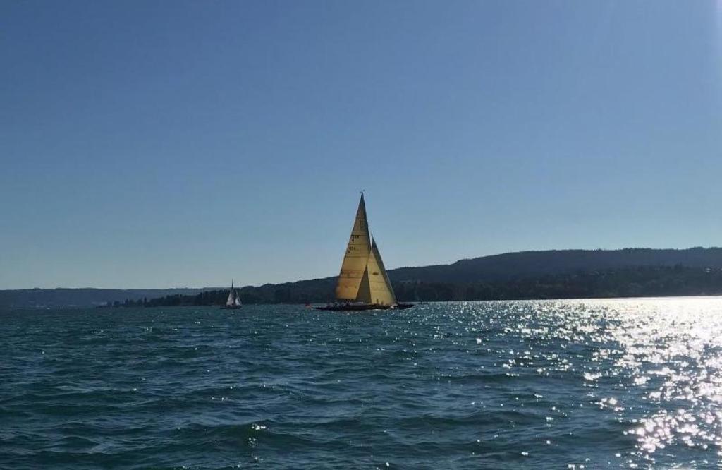 two boats in the water with a sail on the water at Joos Boardinghouse in Radolfzell am Bodensee
