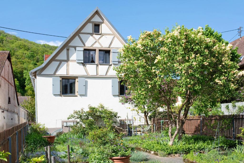 a white house with a tree in front of it at Ferienhaus Hildahüsli in Badenweiler