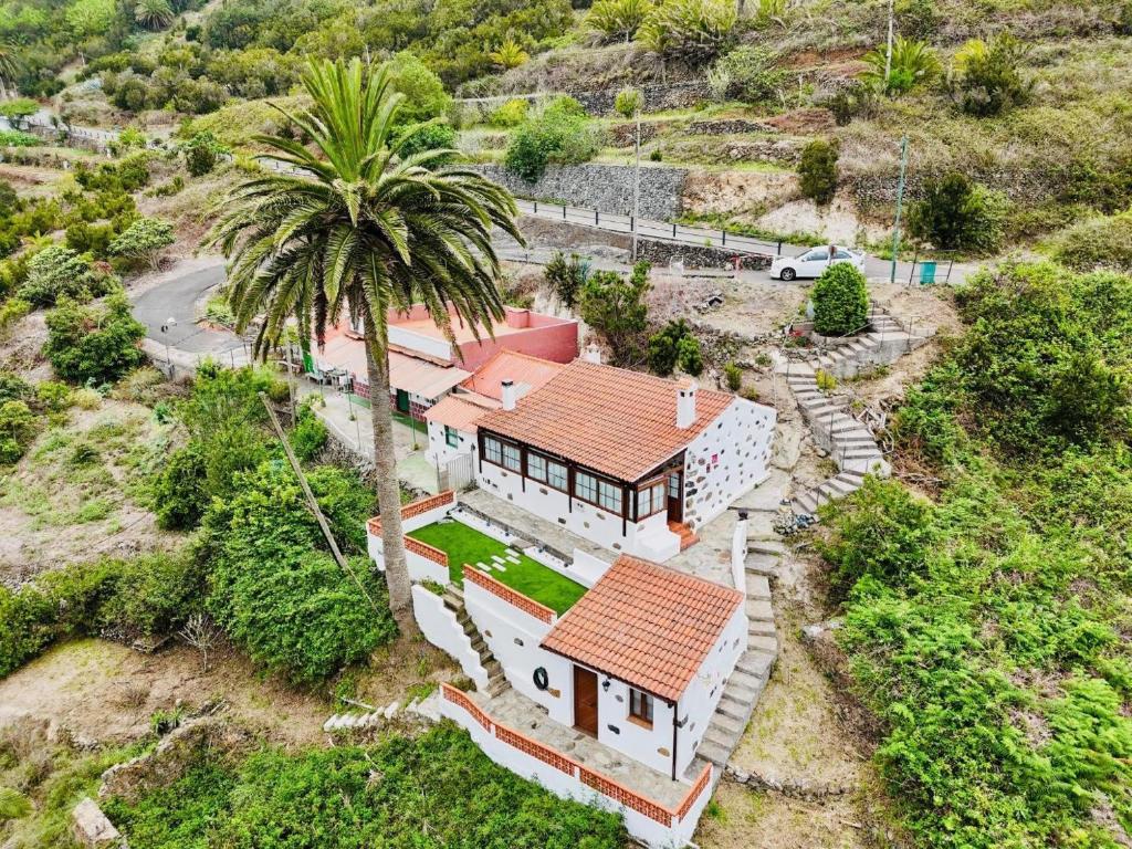 an aerial view of a house with a palm tree at Casa Cruz De Tierno in Agulo