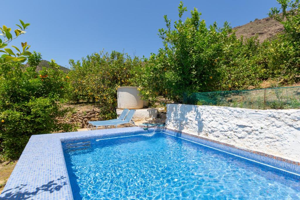 a swimming pool with a chair and some trees at Casa Altavista in Alora