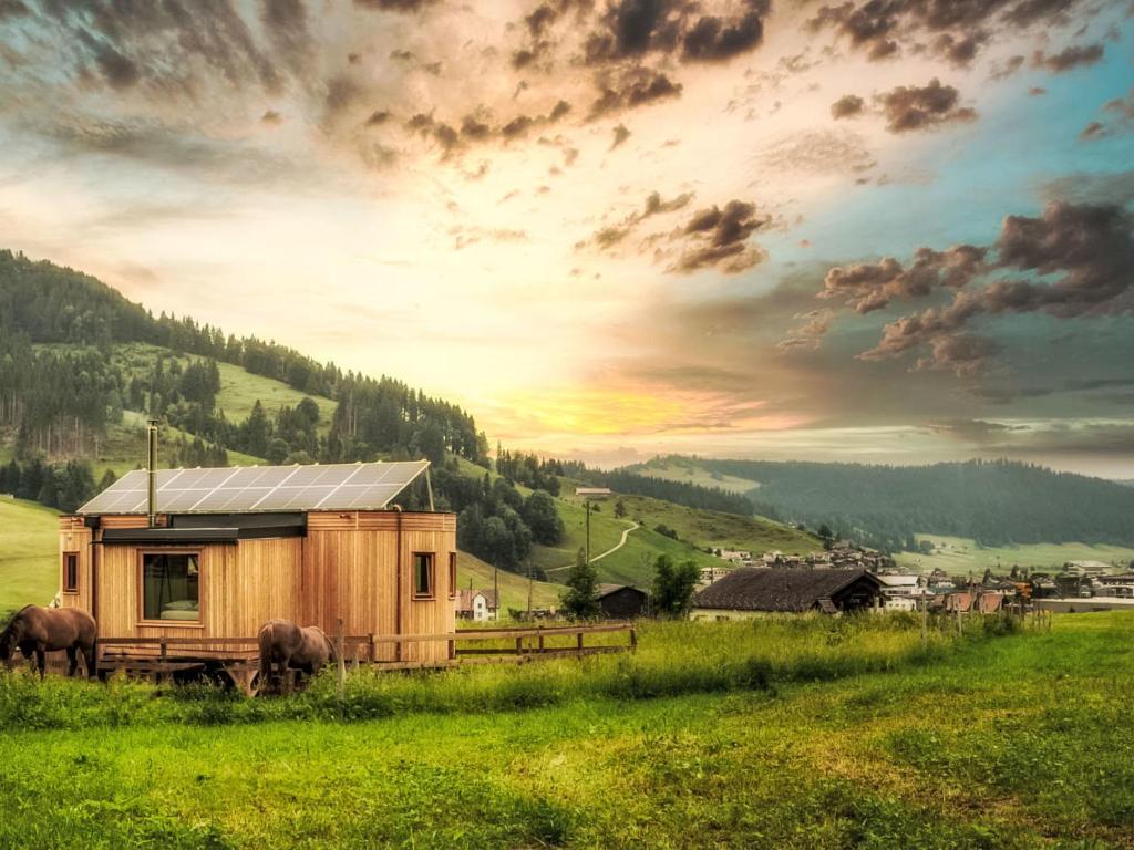 a small wooden house in a field with two horses at Chalet Boutique Tiny House by Interhome in Rothenthurm