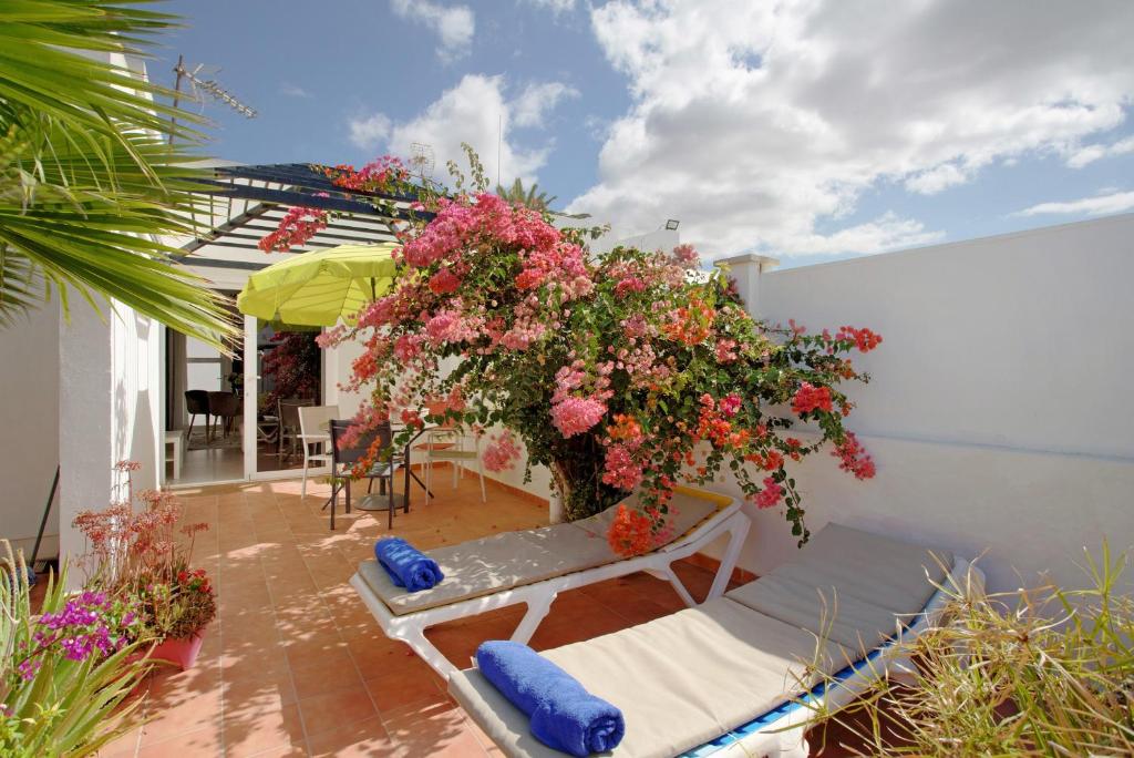 a patio with a bunch of flowers and a bench at Bungalow Aloe Dunas in Maspalomas