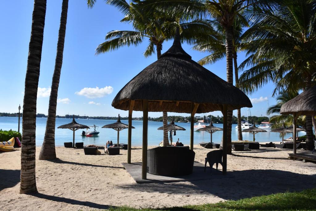een hond die onder een rieten parasol op een strand staat bij Ocean Villas Apart Hotel by Ocean Hospitality in Grand Baie