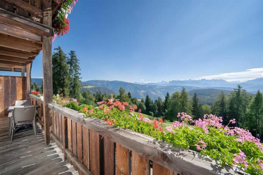 a balcony with flowers and a view of mountains at Stücklhof Wohnung Rose in San Genesio Atesino