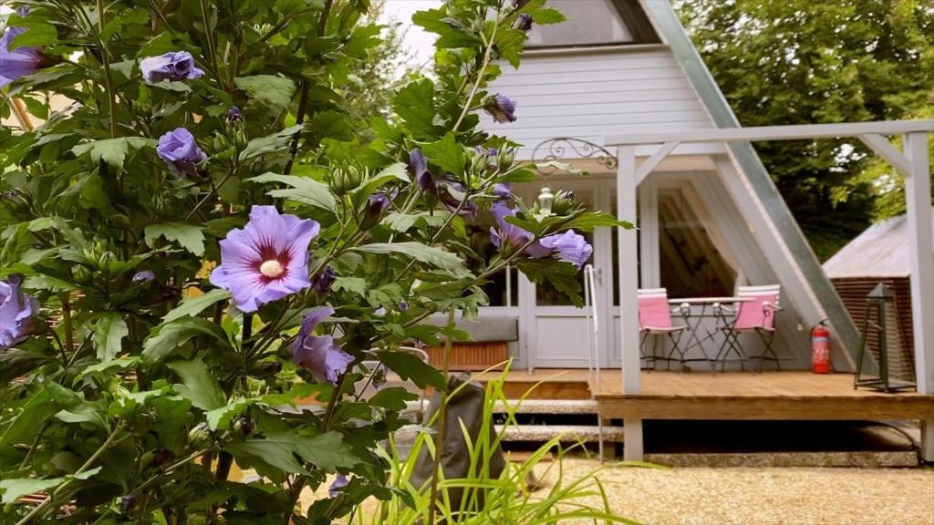 a flowering bush with purple flowers in front of a house at Ferienhaus am Waldrand in Billerbeck