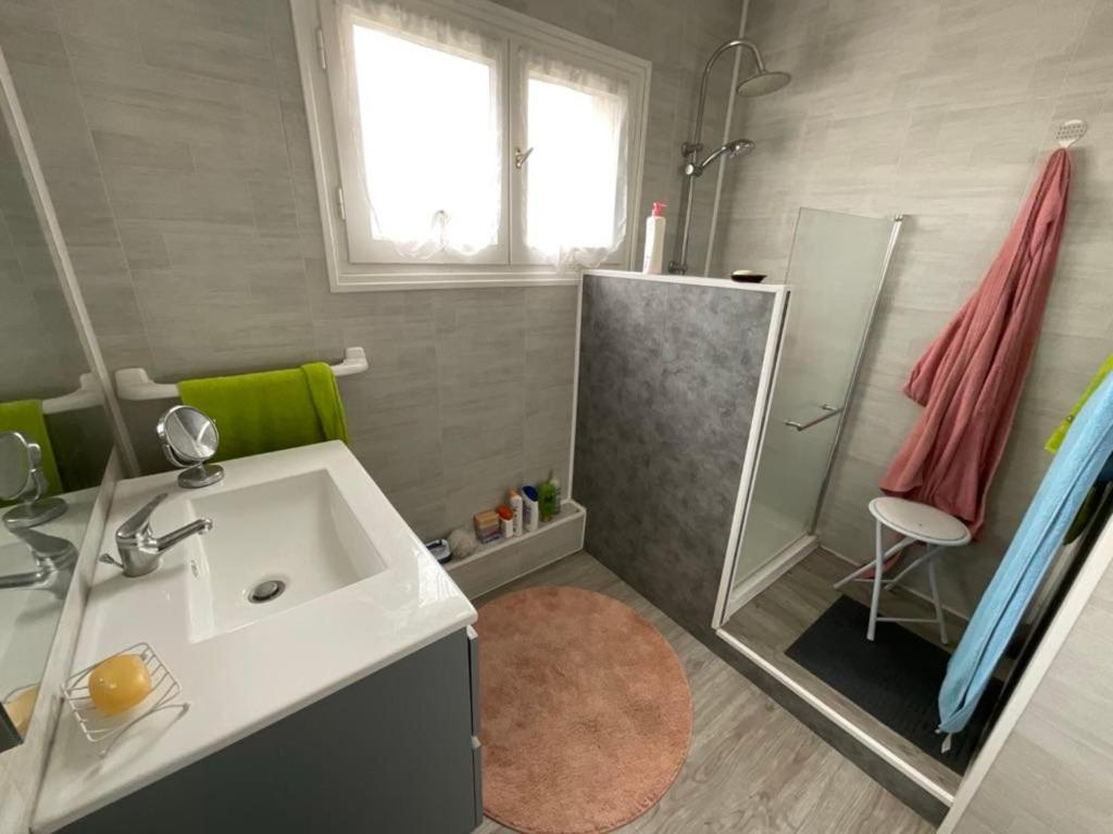 a bathroom with a sink and a shower at Maison de vacances Pradines in Pradines