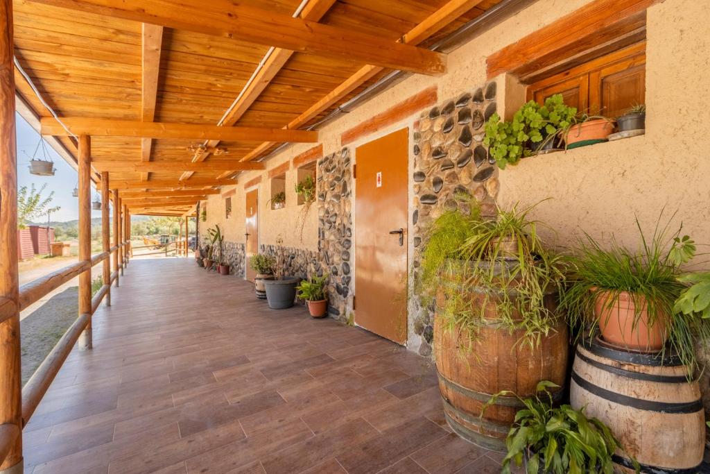 a hallway with potted plants and a wooden ceiling at Bungalow Alós in Alós de Balaguer