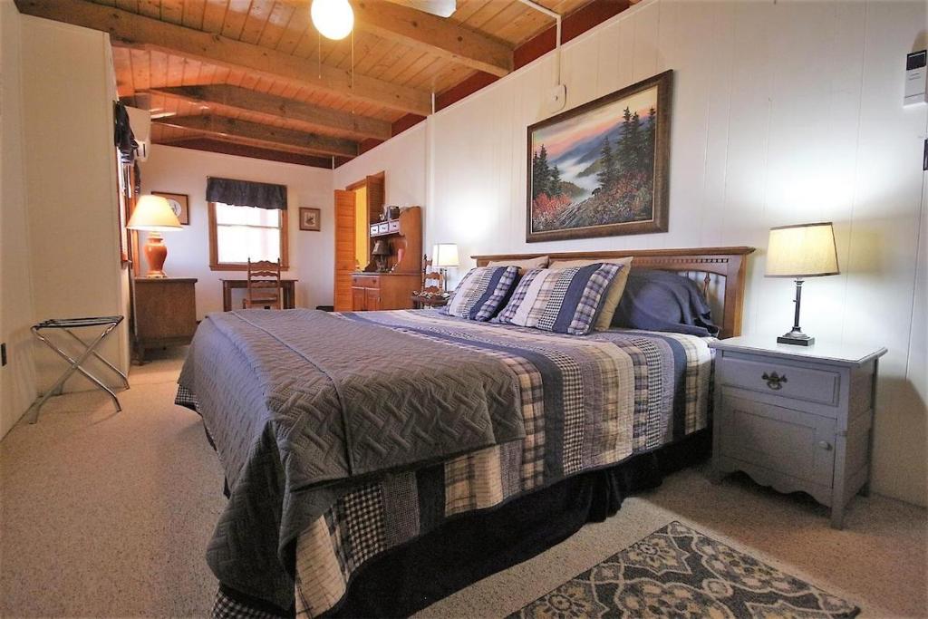 a bedroom with a bed and a picture on the wall at Chestnut Ridge in Connestee · Chestnut Ridge in Connestee Falls in Rosman